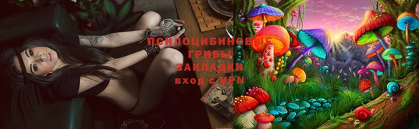 индика Надым