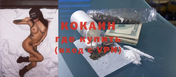индика Надым