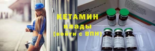 индика Надым