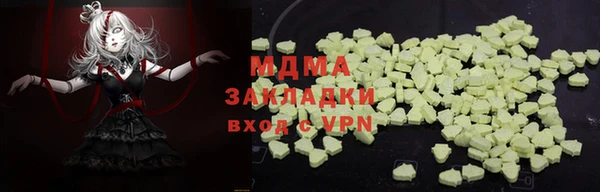 индика Надым