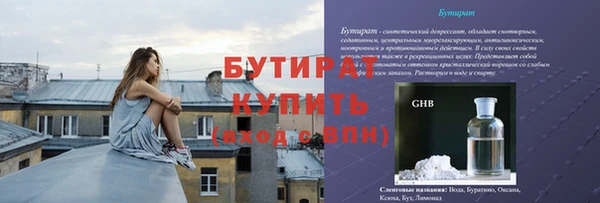 индика Надым