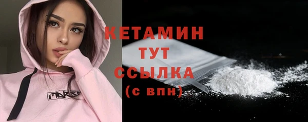 индика Надым