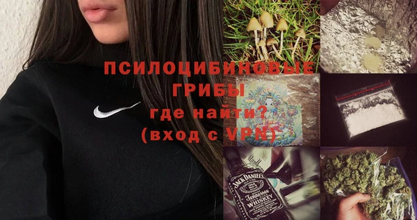 индика Надым