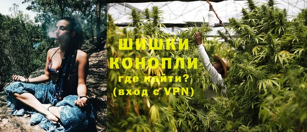 индика Надым