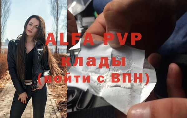 индика Надым