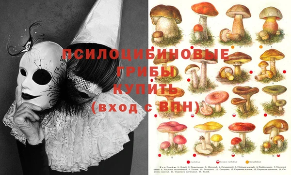 хмурый Михайловск