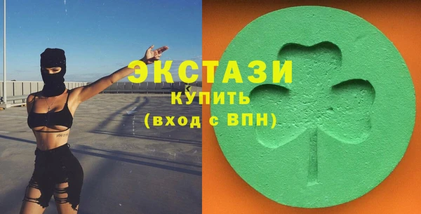 индика Надым