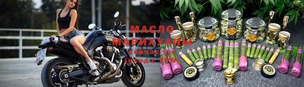 индика Надым