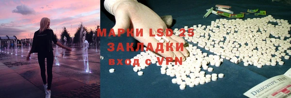 индика Надым