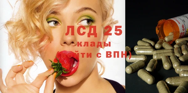 индика Надым