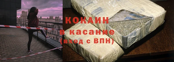 индика Надым