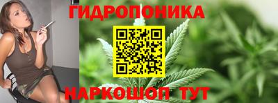 гашик Канаш