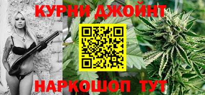гашик Канаш