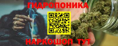 гашик Канаш