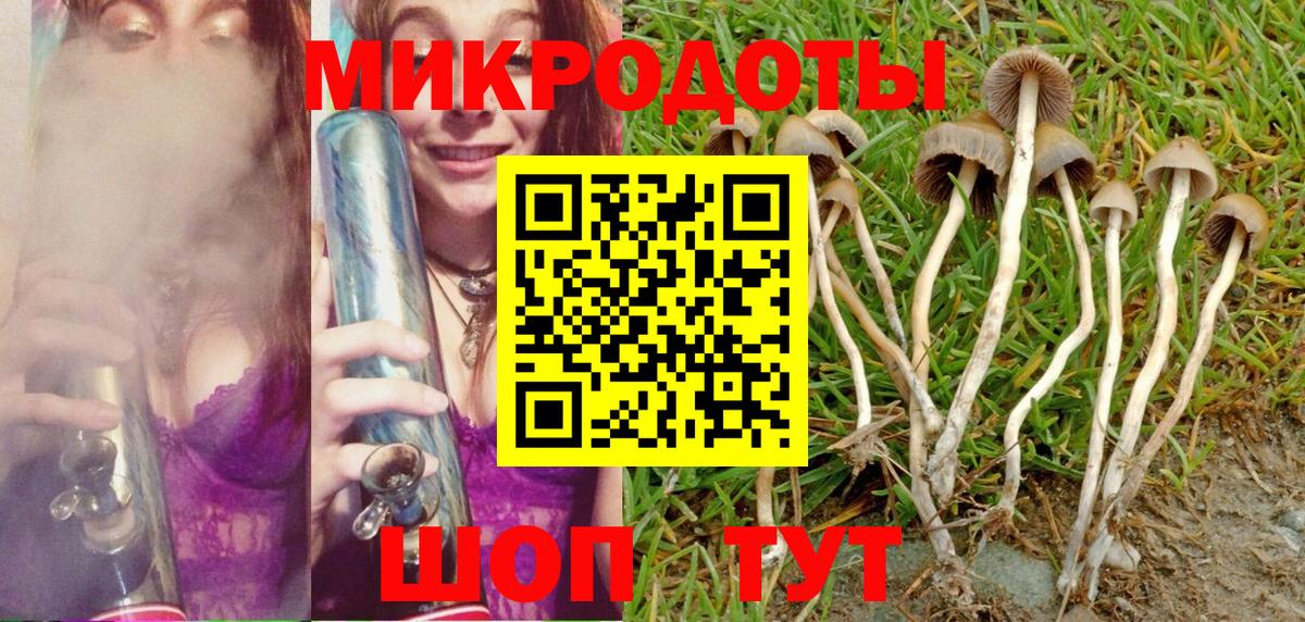 Псилоцибиновые грибы Magic Shrooms Красноармейск